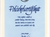 arctic-circle-certificate