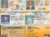 ca-driv-licenses