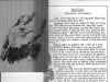 bald-eagle-2