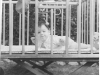childhood-beginings-2