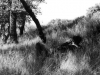 teenselfphotographer