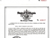 media-impact-corp-filing