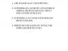 buddhism-4-noble-truths