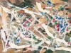 2006-berries33