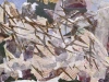 2006-slivers-archival-print
