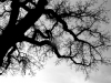 acimage7mod