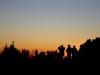 barrysuzsfsunset