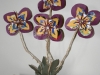 2005-pinon-plant1