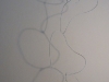 cells-2