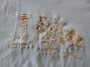 p1020355