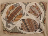p1020436